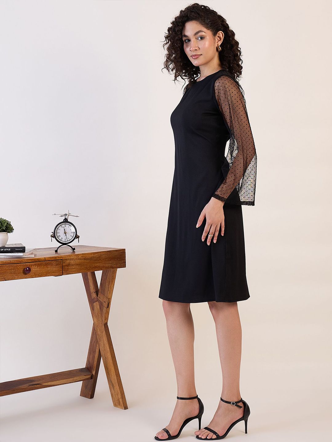 Black Sheer Sleeve A - Line Dress