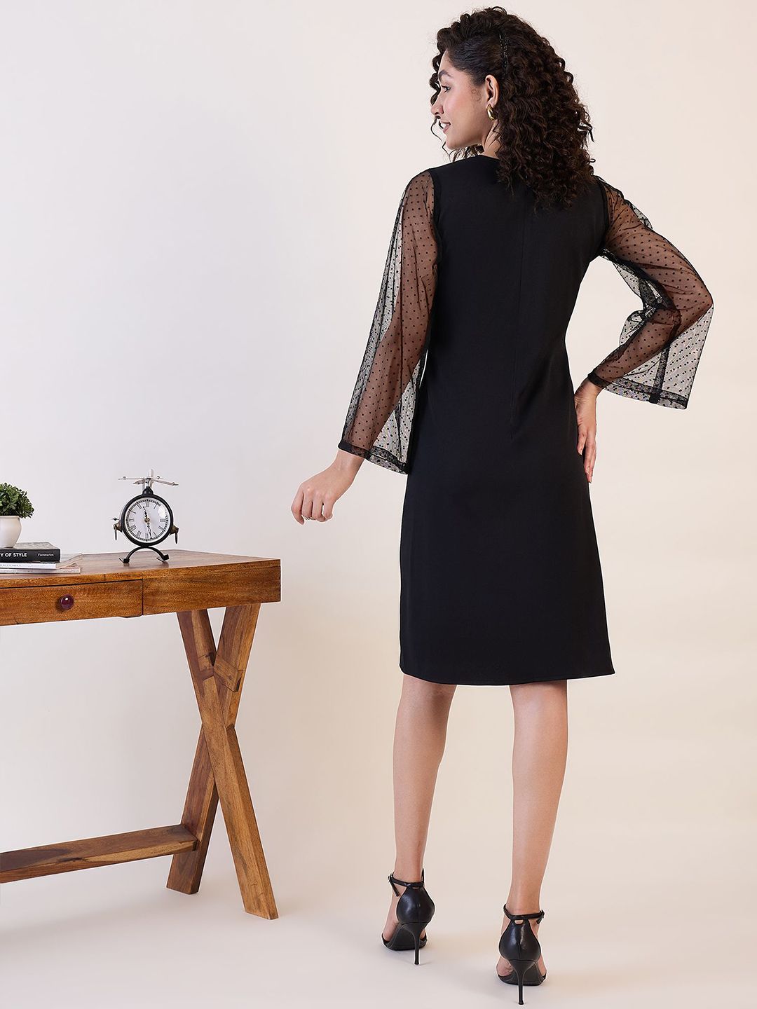 Black Sheer Sleeve A - Line Dress